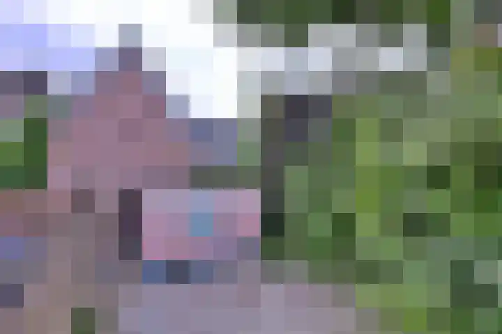 Korte Rij 3 Deventer thumbnail 17