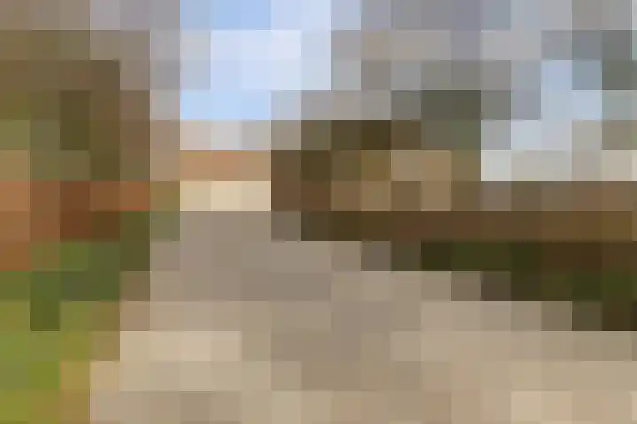 Korte Striep 3 Sint Anthonis thumbnail 10