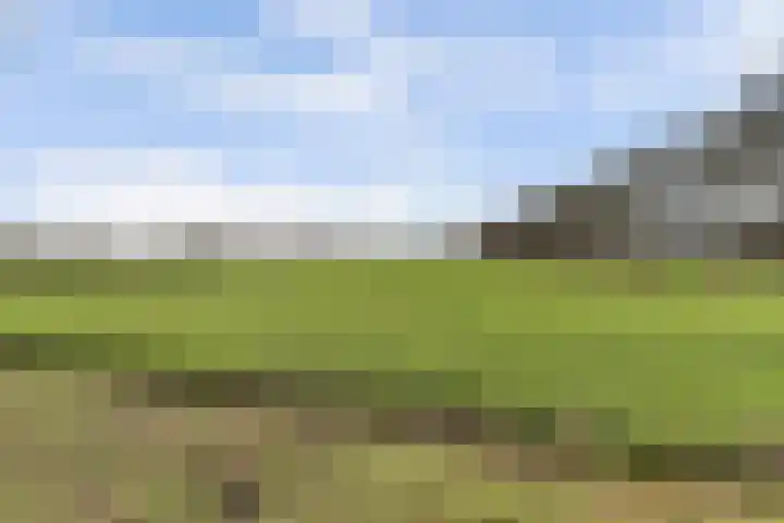 Korte Striep 3 Sint Anthonis thumbnail 13