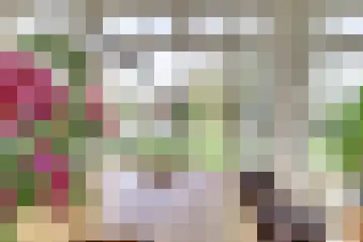 Korte Striep 3 Sint Anthonis thumbnail 23