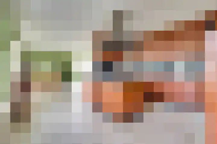 Korte Striep 3 Sint Anthonis thumbnail 27