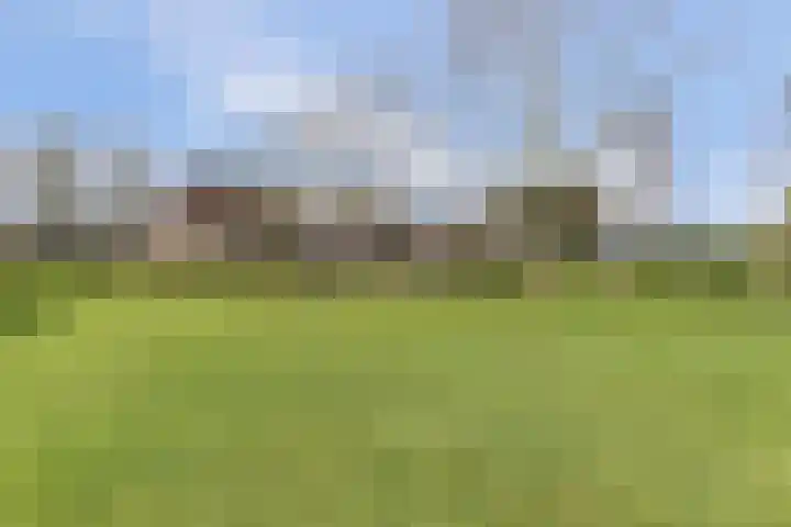 Korte Striep 3 Sint Anthonis thumbnail 60