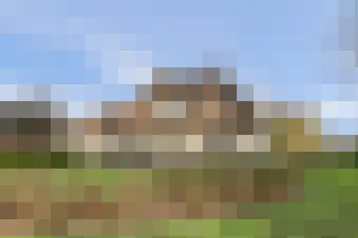 Korte Striep 3 Sint Anthonis thumbnail 7