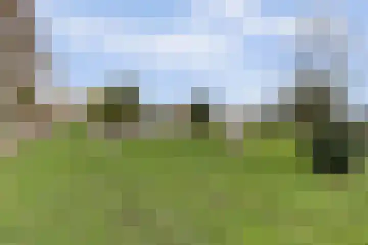 Korte Striep 3 Sint Anthonis thumbnail 70