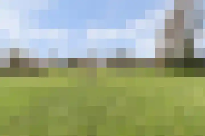 Korte Striep 3 Sint Anthonis thumbnail 72