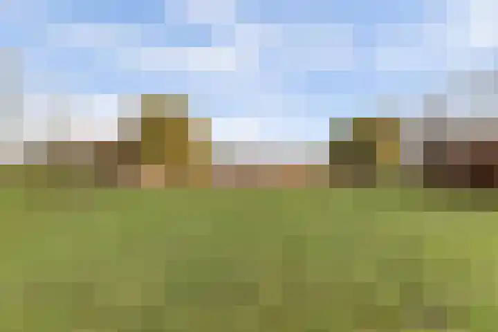 Korte Striep 3 Sint Anthonis thumbnail 74