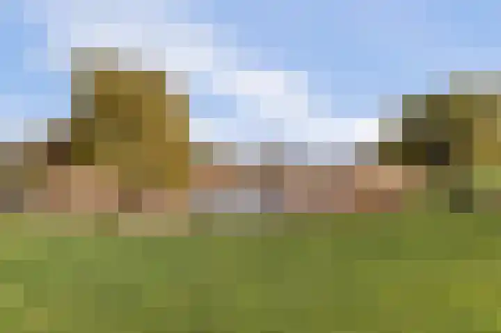 Korte Striep 3 Sint Anthonis thumbnail 75