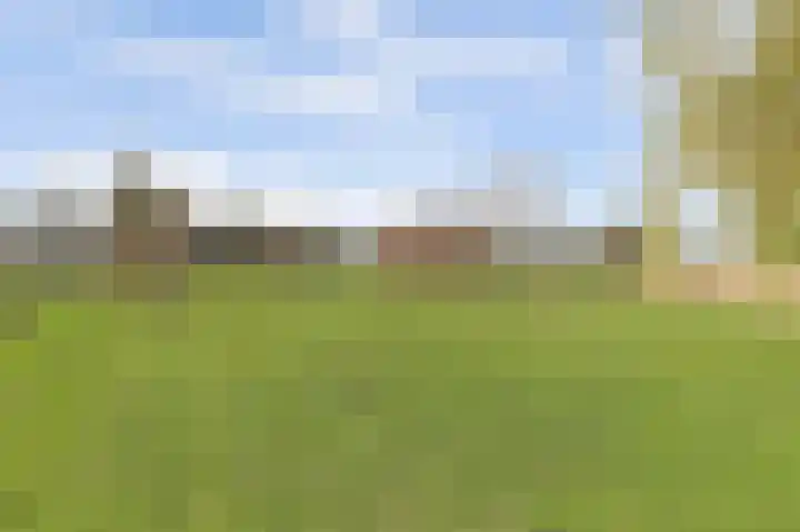 Korte Striep 3 Sint Anthonis thumbnail 77