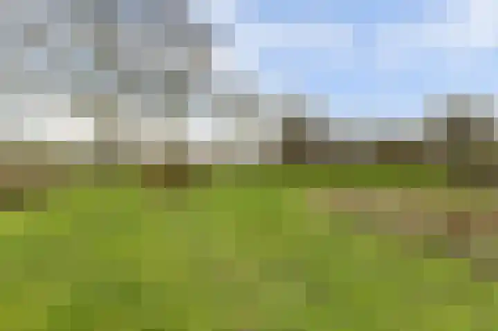 Korte Striep 3 Sint Anthonis thumbnail 79