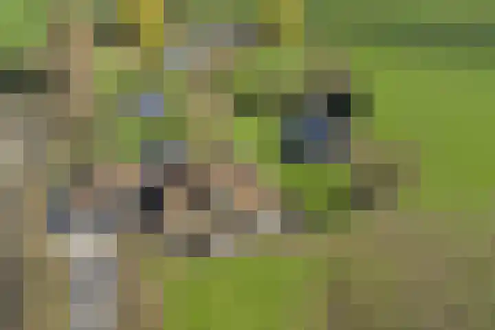 Korte Striep 3 Sint Anthonis thumbnail 8