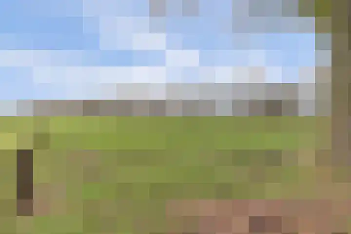 Korte Striep 3 Sint Anthonis thumbnail 80