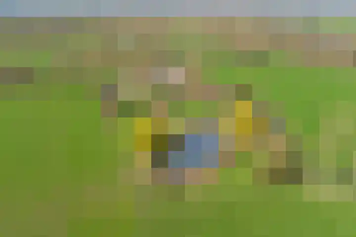 Korte Striep 3 Sint Anthonis thumbnail 83