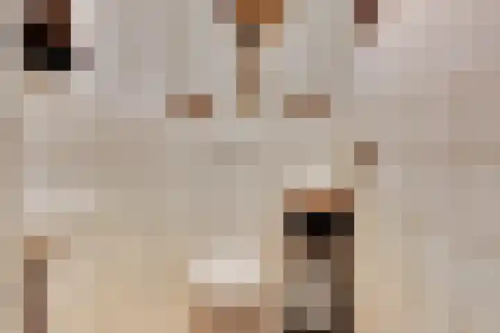 Korte Wal 1 a Borculo thumbnail 14