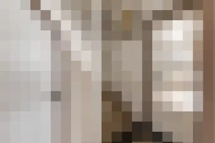 Korte Wal 1 a Borculo thumbnail 15