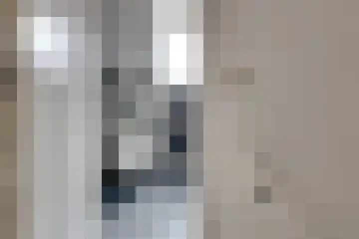 Korte Wal 1 a Borculo thumbnail 22