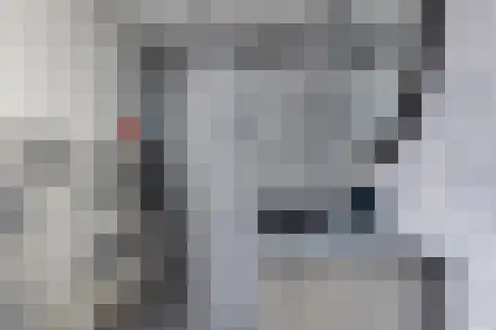 Korte Wal 1 a Borculo thumbnail 23