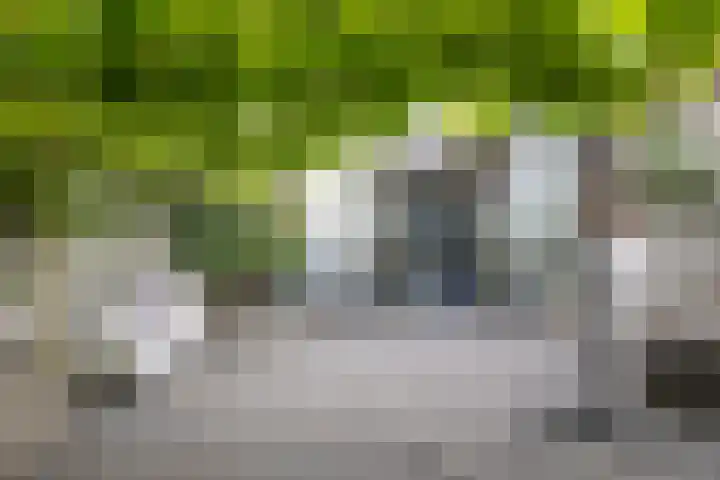 Korte Wal 1 a Borculo thumbnail 26