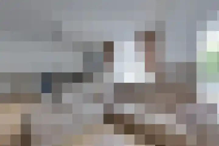 Korte Wal 1 a Borculo thumbnail 4