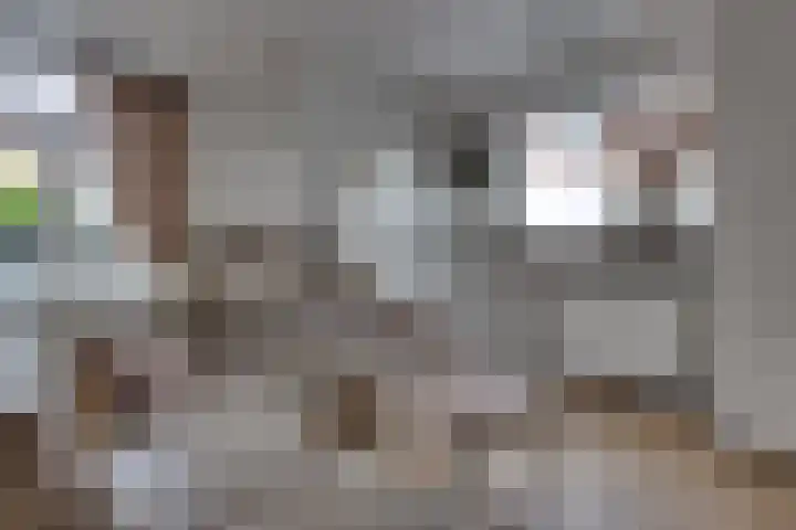 Korte Wal 1 a Borculo thumbnail 5