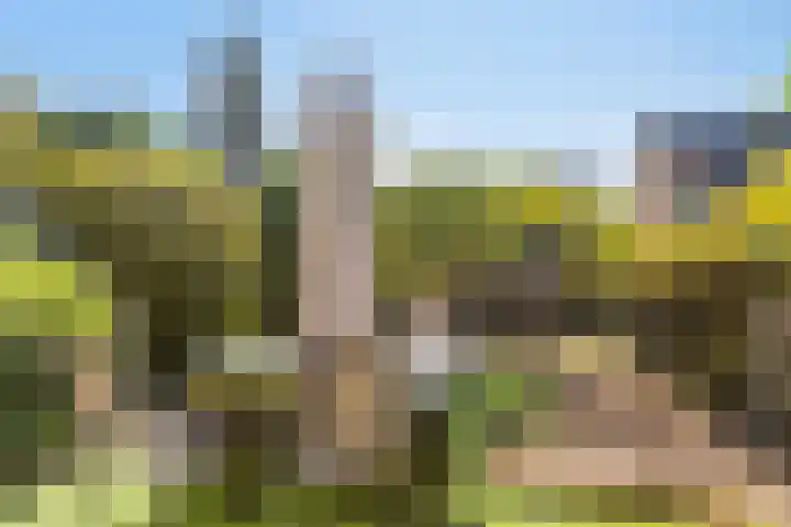 Korte Water 149 Amsterdam thumbnail 18