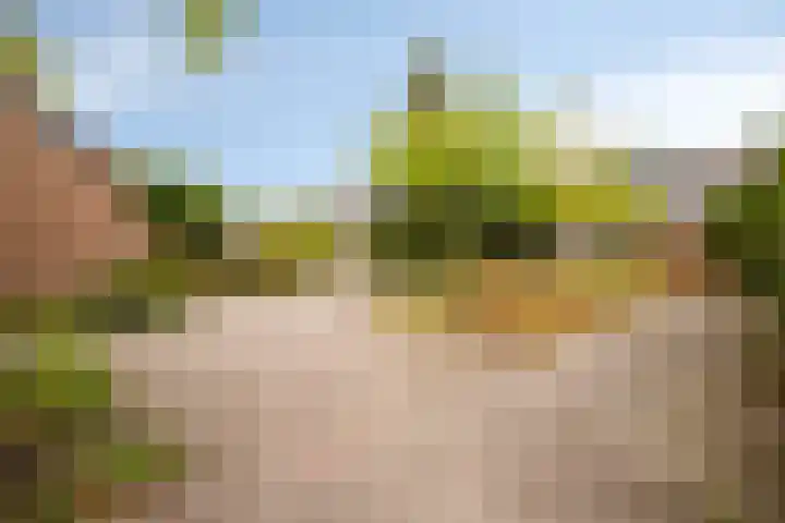 Korte Water 149 Amsterdam thumbnail 20