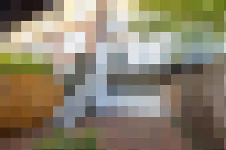 Kortekade 45 B Rotterdam thumbnail 25
