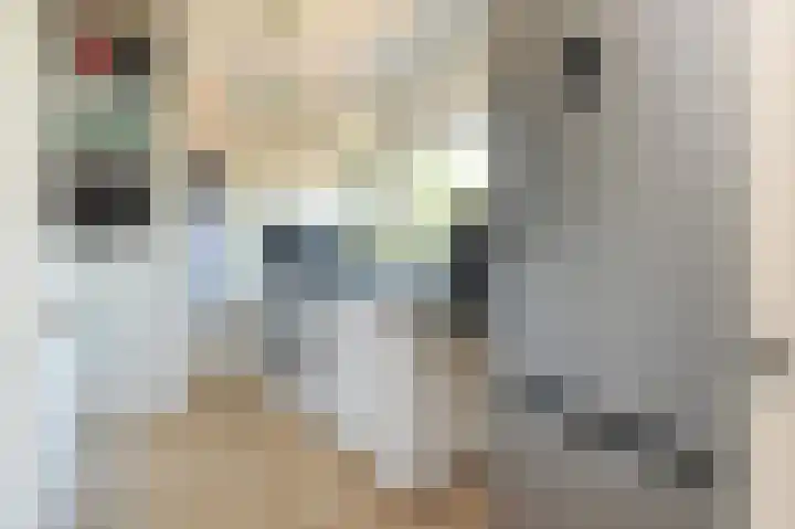 Kortelandsedreef 7 Nootdorp thumbnail 29