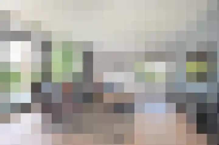 Kortelandsedreef 7 Nootdorp thumbnail 38
