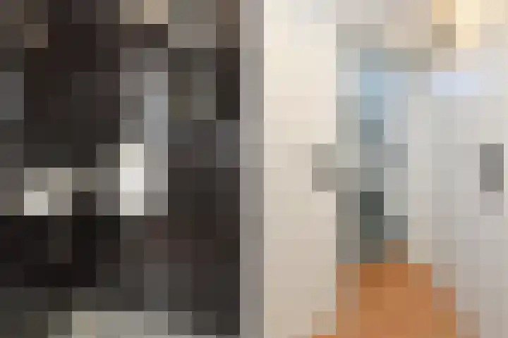 Kortelandsedreef 7 Nootdorp thumbnail 53