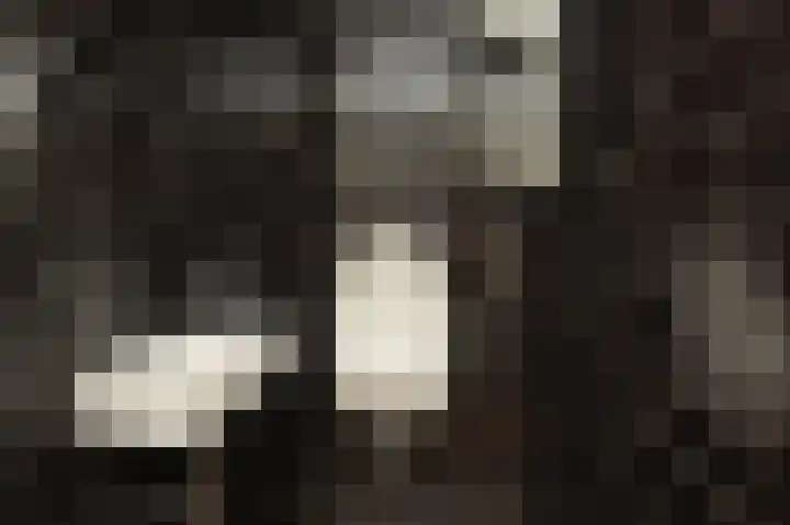 Kortelandsedreef 7 Nootdorp thumbnail 54