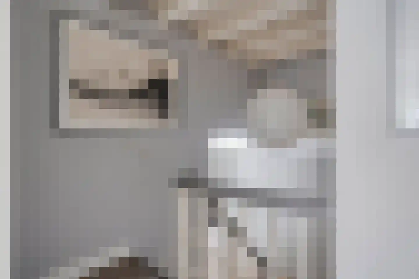 Kortenhorststraat 17 Oss thumbnail 19