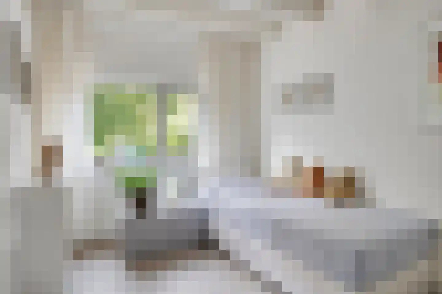 Kortenhorststraat 17 Oss thumbnail 30