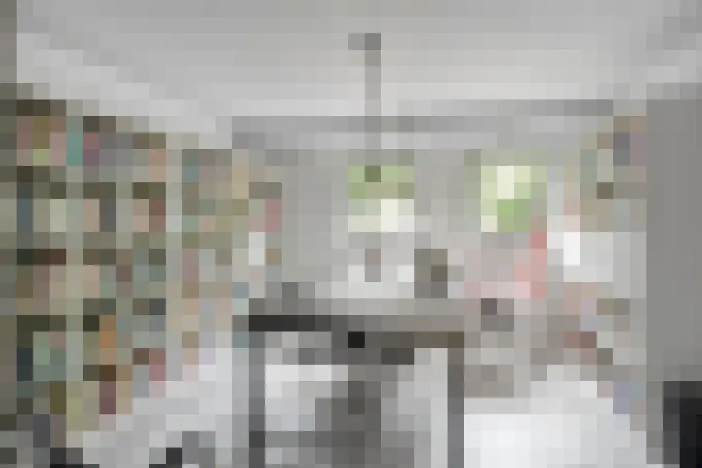 Kortenhorststraat 17 Oss thumbnail 32