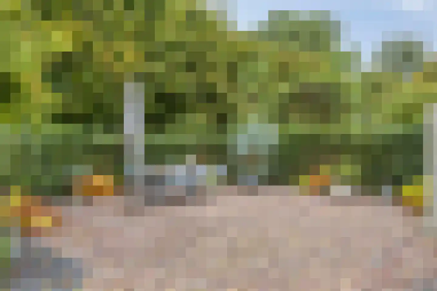 Kortenhorststraat 17 Oss thumbnail 43