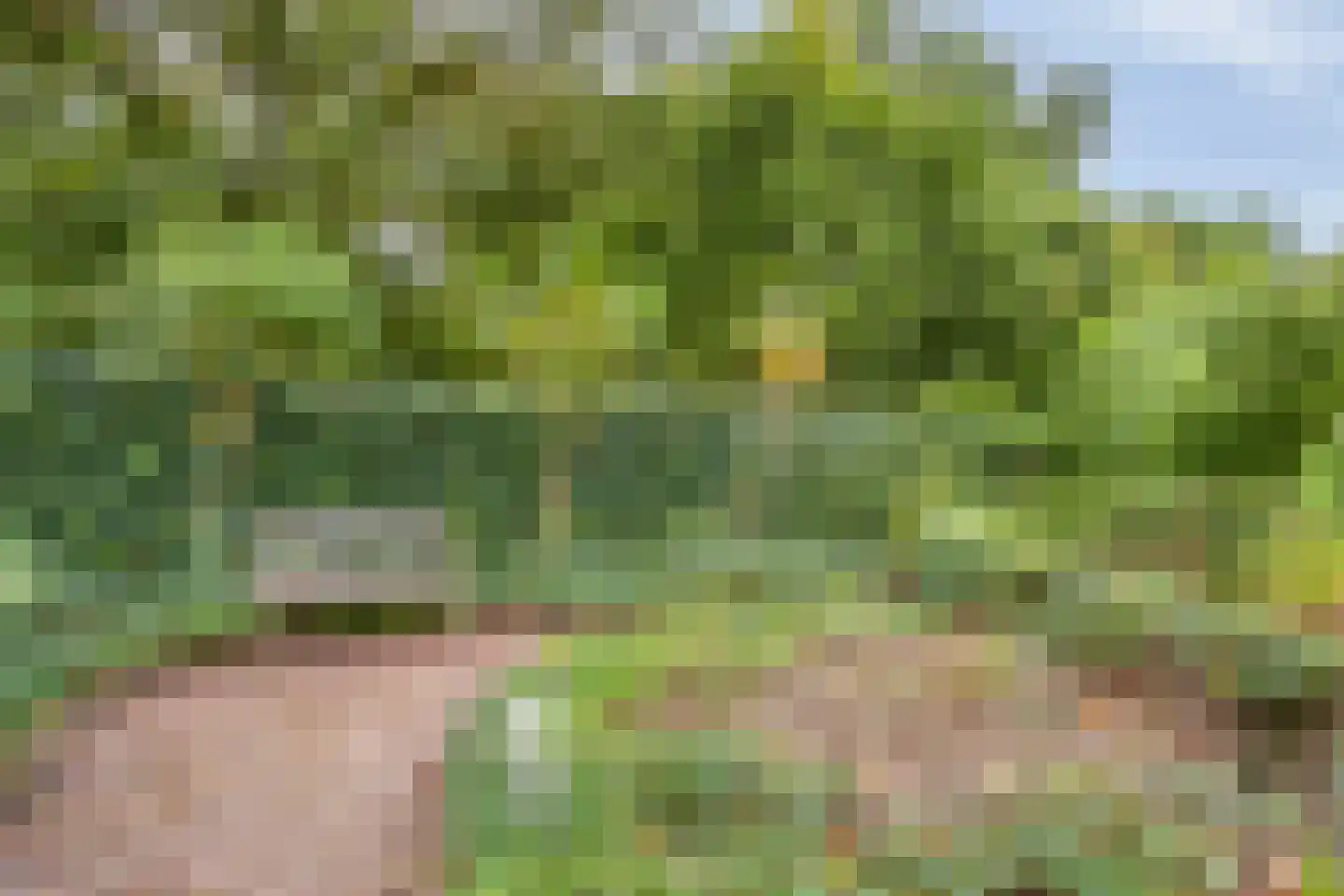 Kortenhorststraat 17 Oss thumbnail 49