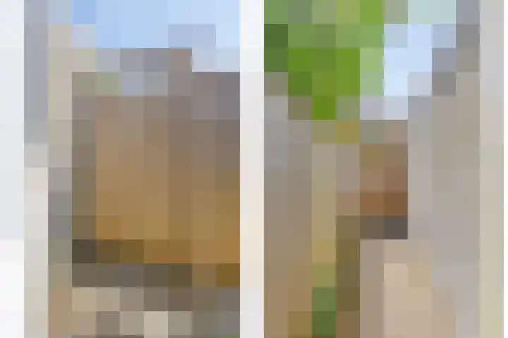 Kortestraat 17 Breda thumbnail 40
