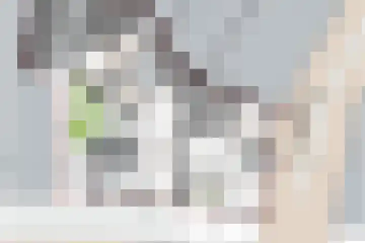 Kortestraat 2 Venray thumbnail 15