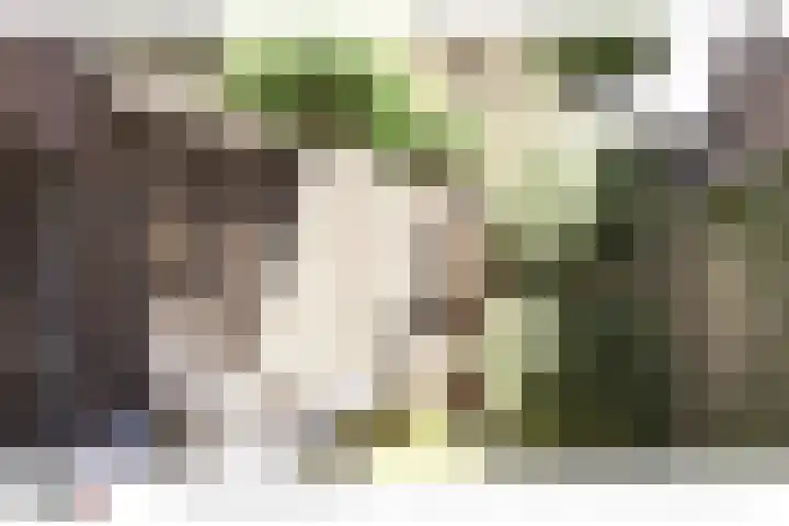 Kortestraat 2 Venray thumbnail 7