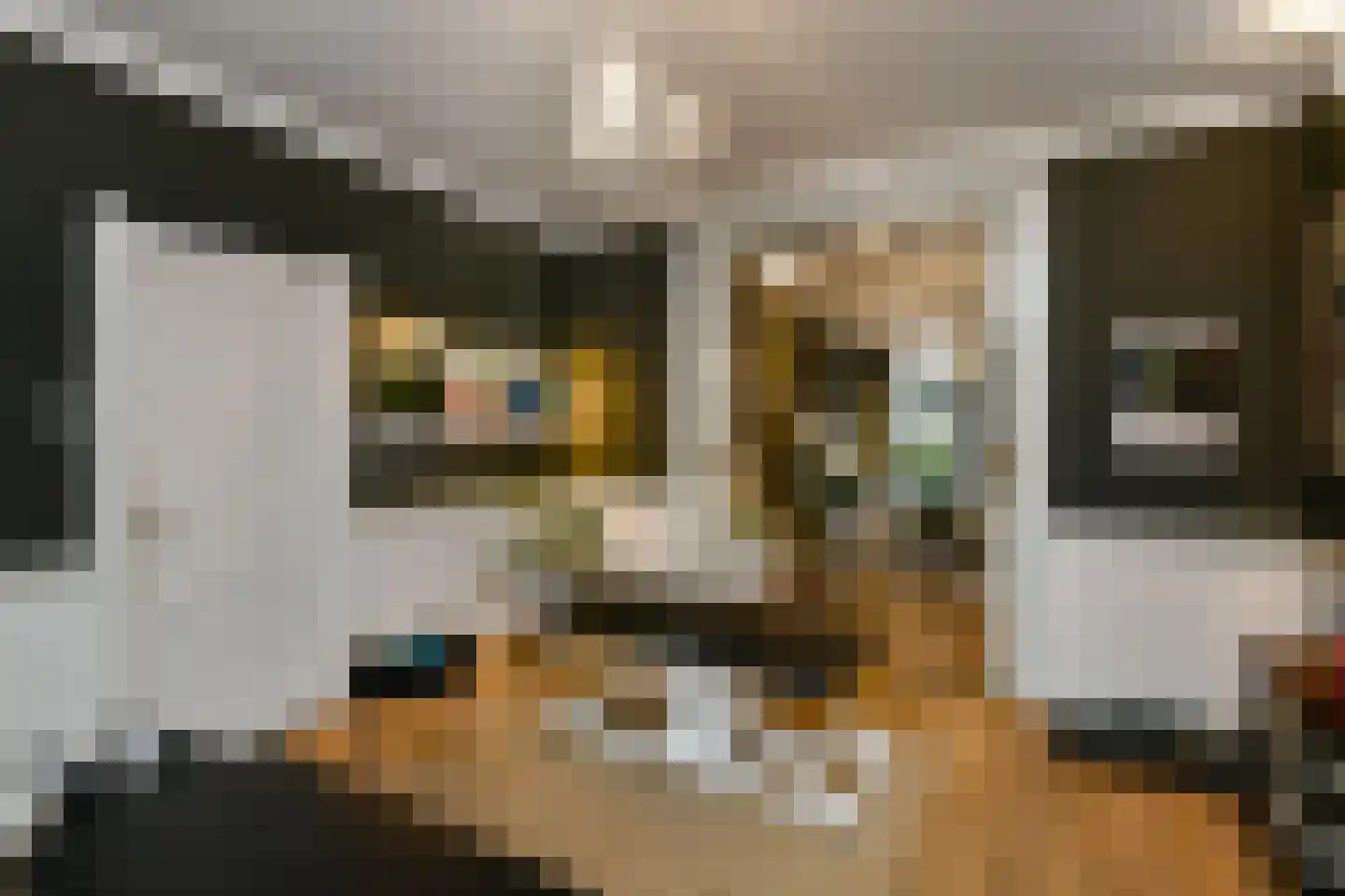 Kortestraat 21 Arnhem thumbnail 13