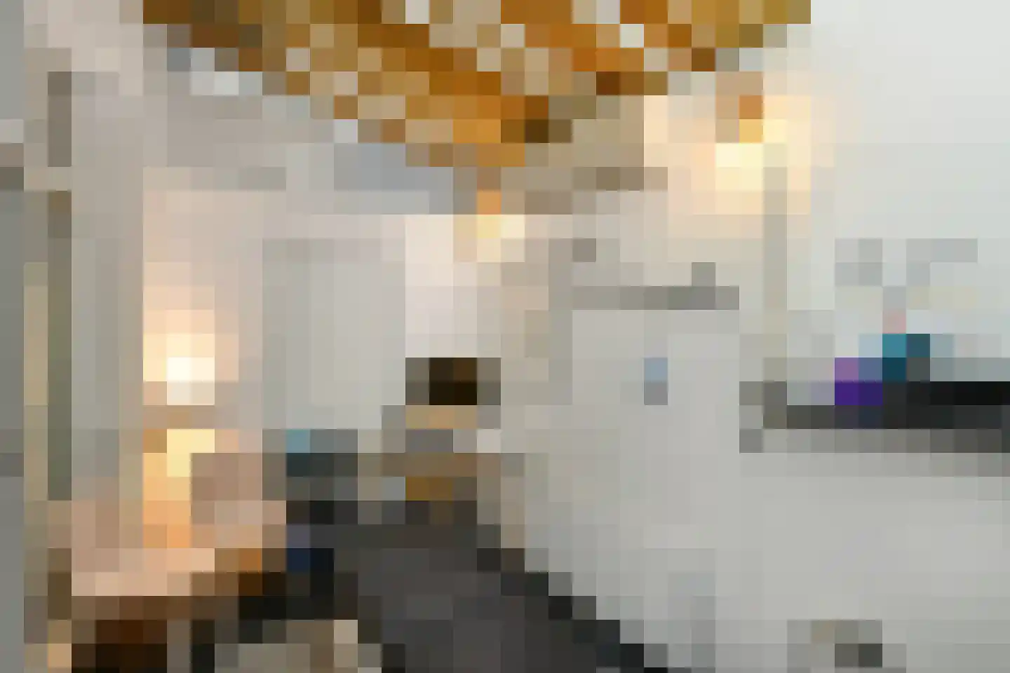 Kortestraat 21 Arnhem thumbnail 16