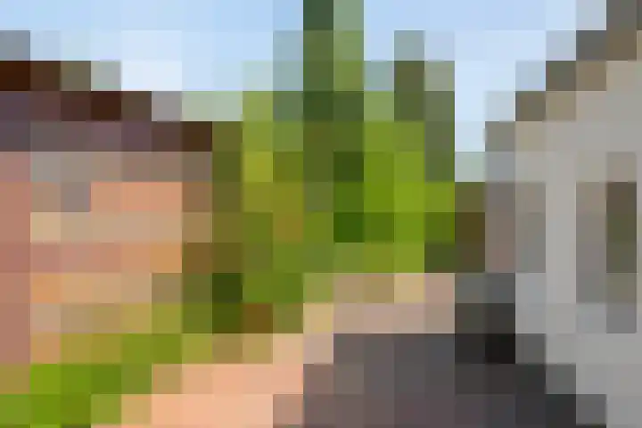 Kortfoortstraat 87 Oss thumbnail 24