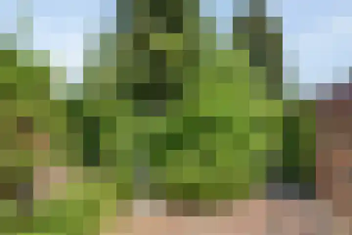 Kortfoortstraat 87 Oss thumbnail 26