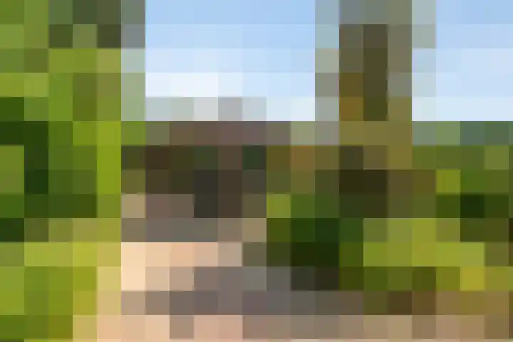 Kortfoortstraat 87 Oss thumbnail 27