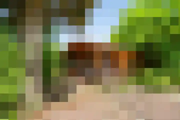 Kortfoortstraat 87 Oss thumbnail 28