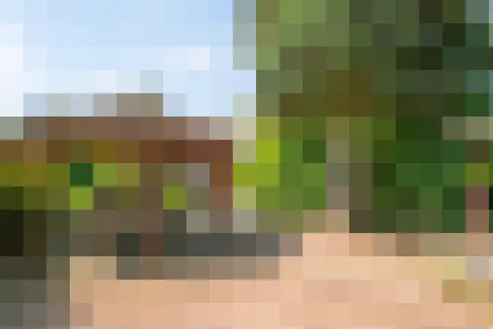 Kortfoortstraat 87 Oss thumbnail 29