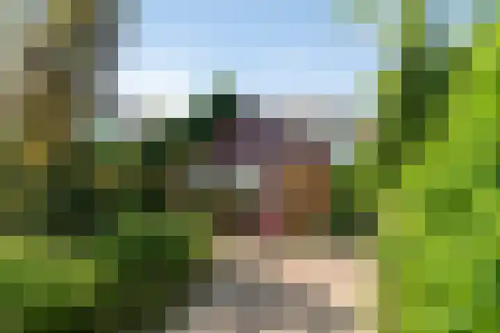 Kortfoortstraat 87 Oss thumbnail 30
