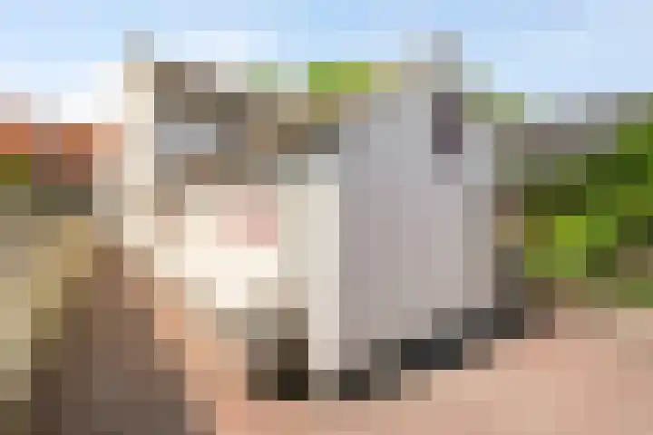 Kortfoortstraat 87 Oss thumbnail 33