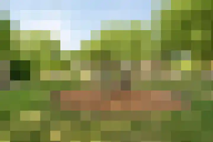 Kortfoortstraat 87 Oss thumbnail 34