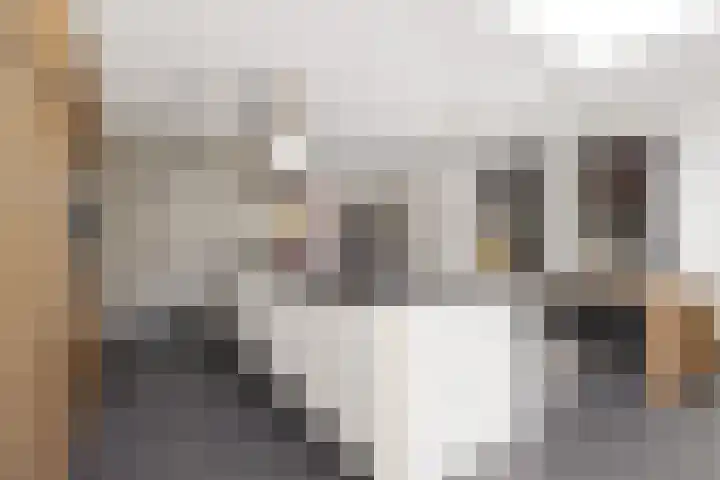Kortgevel 13 Uden thumbnail 21