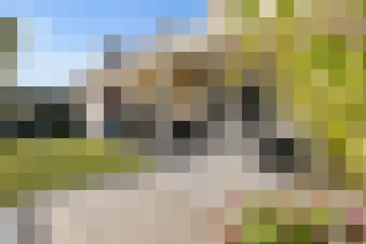 Kortgevel 13 Uden thumbnail 44